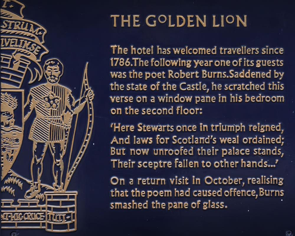 Golden Lion